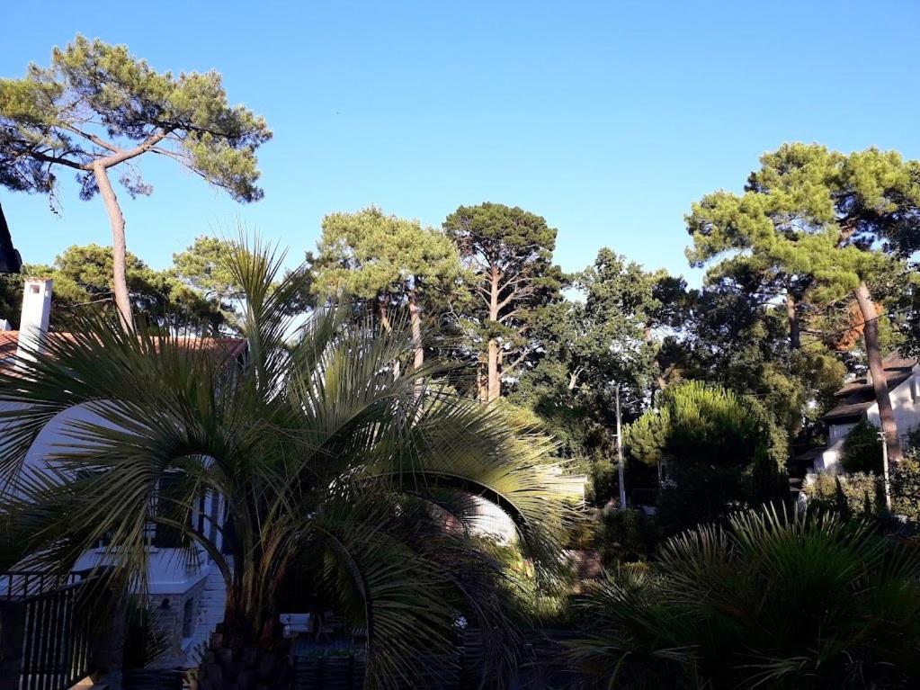 Belle De Dune La Baule-Escoublac ภายนอก รูปภาพ
